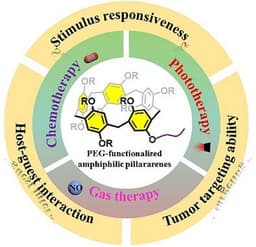 Photoswitchable Merocyanine‐Amphiphiles with Programmable Self‐Assembly Times