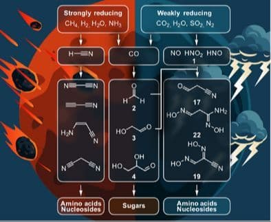 The Origin of the Feedstock Molecules for Life on the Hadean Earth