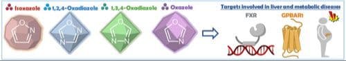 The Role of Five‐Membered Aromatic Rings Containing N and O in Modulating Bile Acid Receptors: An Overview