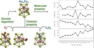 Theoretical Investigation of the Stabilities and Reactivities of AumCun${\rm Au}_m{\rm Cu}_n$ Metallic Clusters (m+n = 13)