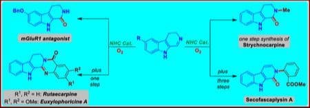Total Syntheses of β‐Carboline‐Based Natural Alkaloids Including Secofascaplysin A, Strychnocarpine, Rutaecarpine and Euxylophoricine A Using NHC‐Catalyzed Imine Umpolung‒Oxidation