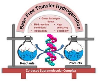 Transfer Hydrogenation Catalyzed by a Bifunctional Cobalt‐Based Supramolecular Complex Offering Hydrogen Bonding Cavities