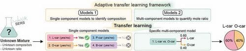 Transfer Learning‐Assisted SERS: Predicting Molecular Identity and Concentration in Mixtures Using Pure Compound Spectra
