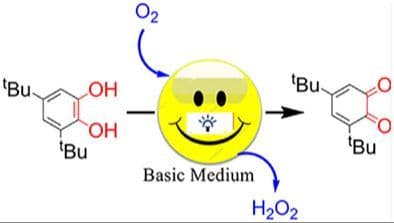 Transition Metal Catalyst Free Expedient Catechol Oxidation to Quinone via Photocatalysis