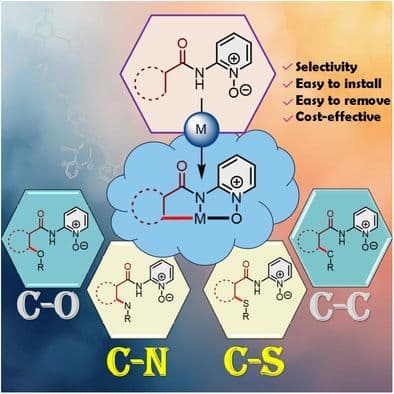 Transition‐Metal‐Catalyzed CH Activation Assisted by N,O‐Bidentate Directing Groups