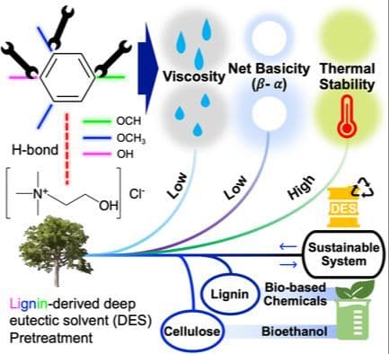 Tuning the Properties of Lignin‐Derived Deep Eutectic Solvents for Biomass Processing