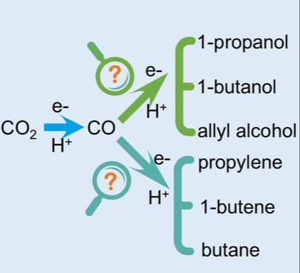 Understanding of the Carbon Chain Growth in Electroreduction of Carbon Dioxide to Produce C3+ Molecules