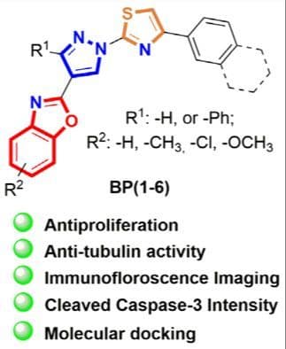 Unveiling Benzoxazole‐Substituted Thiazolyl‐Pyrazole Derivatives Inducing Apoptosis by Targeting β‐Tubulin and Caspase‐3