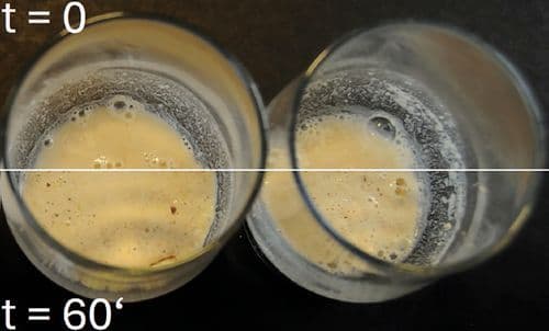 Versuche aus dem Küchenschrank: Erst nach dem Gehen backen
