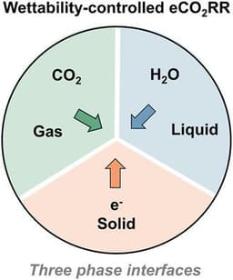 Laboratory‐Based Time‐Resolved In Situ X‐Ray Absorption Spectroscopy for Tracking Transformations of Working Electrocatalysts