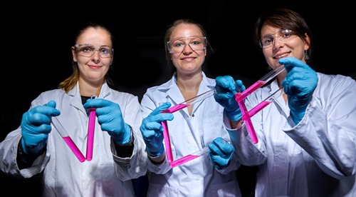 Das neue Sprecherteam im JCF Potsdam (v.l.n.r.): Ursula Eisold (stellv. Regionalsprecherin), Lydia Olejko (stellv. Regionalsprecherin) und Nastja Riemer (Regionalsprecherin und Kassenwart) (c) Photo: Thomas Roese